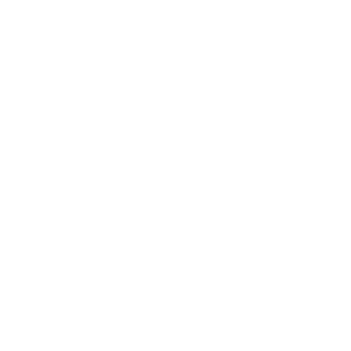 globe icon